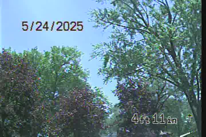 Frame